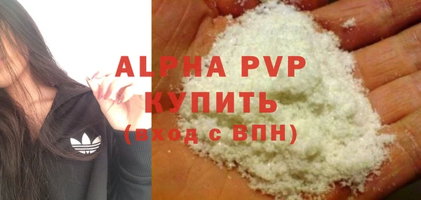 шишки Белоозёрский