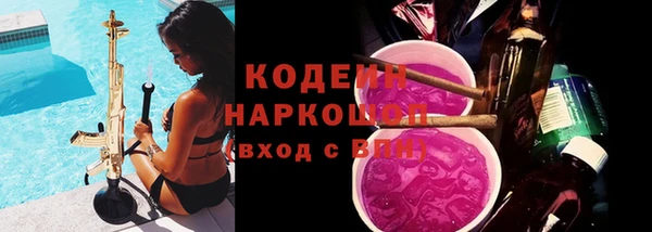 шишки Белоозёрский