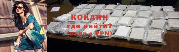 шишки Беломорск