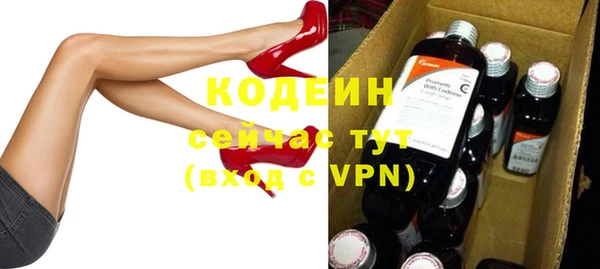 шишки Белоозёрский