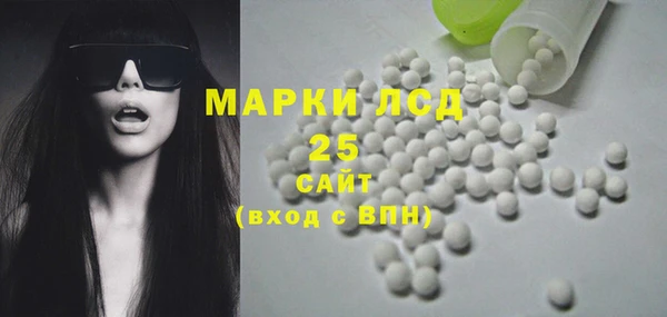 шишки Белоозёрский