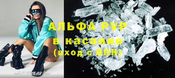 шишки Беломорск