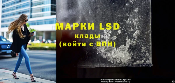 шишки Беломорск