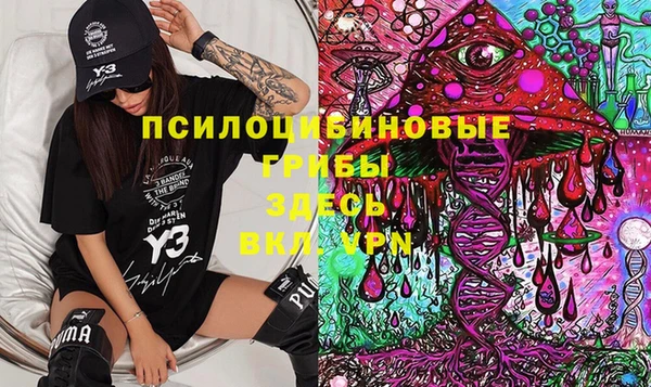 шишки Беломорск