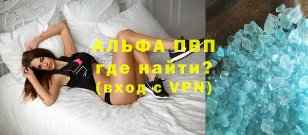 шишки Беломорск
