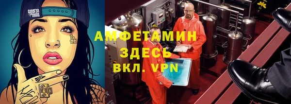 шишки Белоозёрский