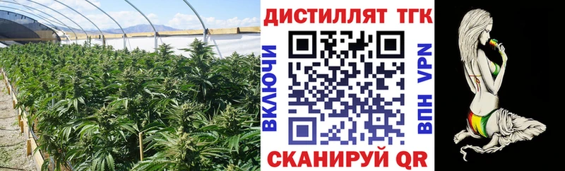 Купить  Буй  ТГК жижа 